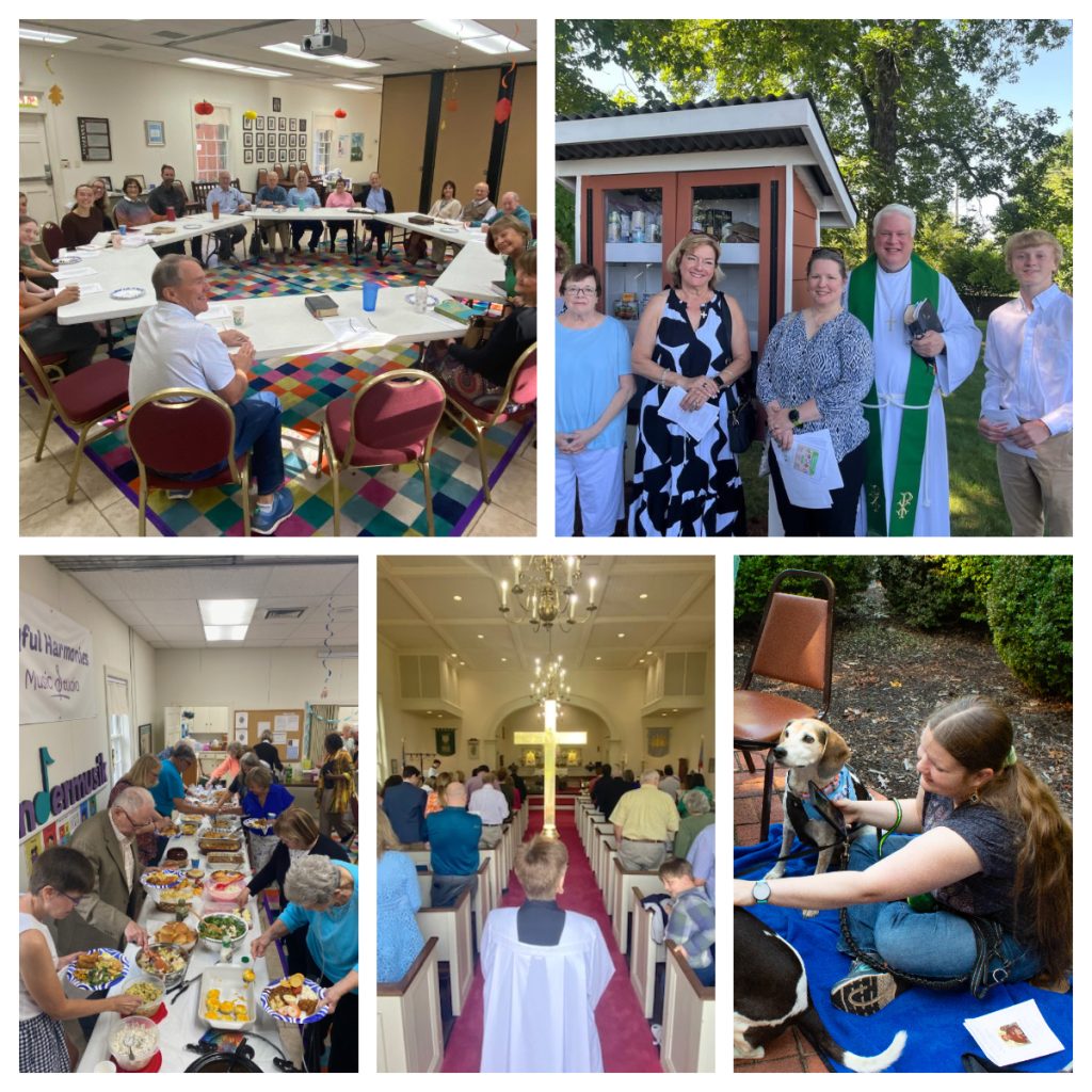collage of church images