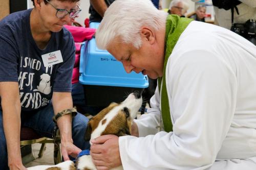Blessing of the Animals 2022
